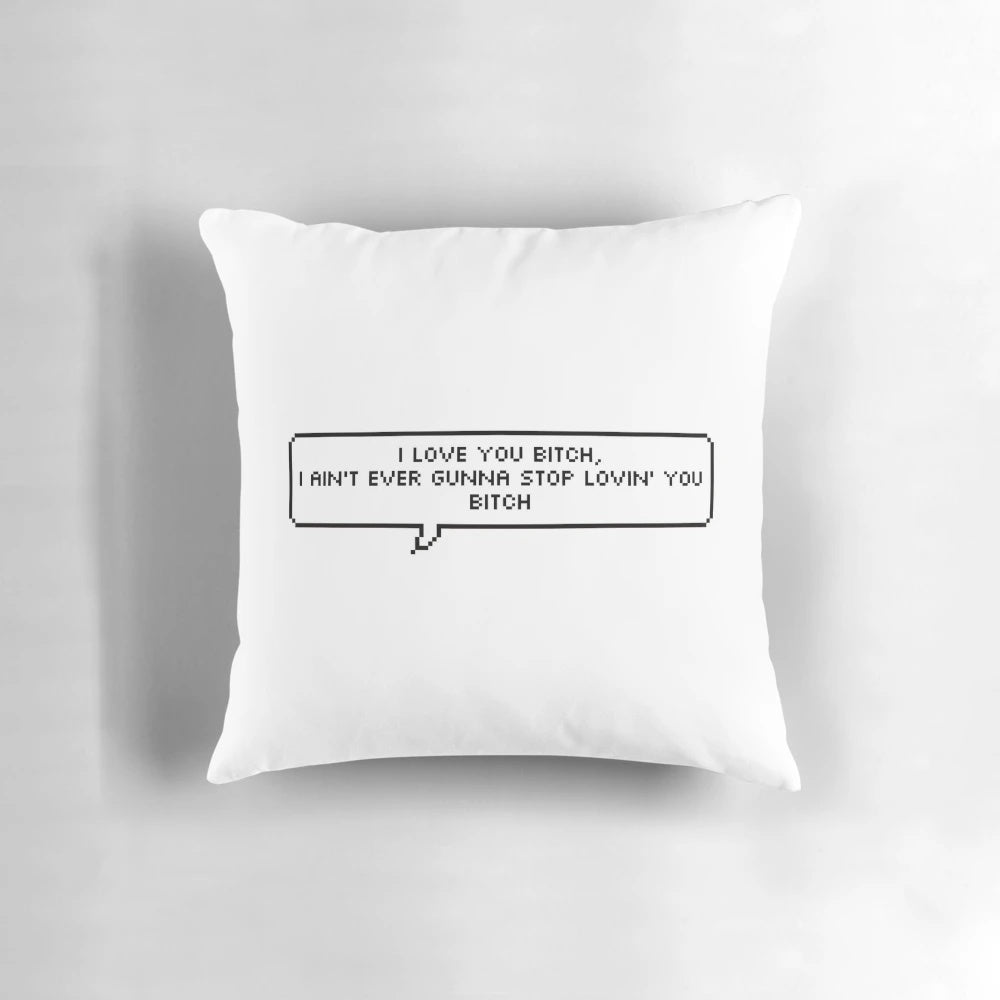 A playful pillow with the iconic "I Love You Bitch" quote from Vine.