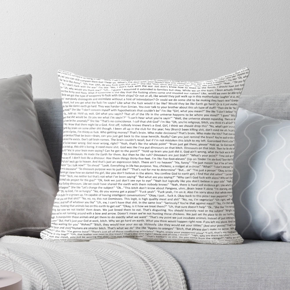 Lil Dicky inspired custom pillow with lyrics and personality