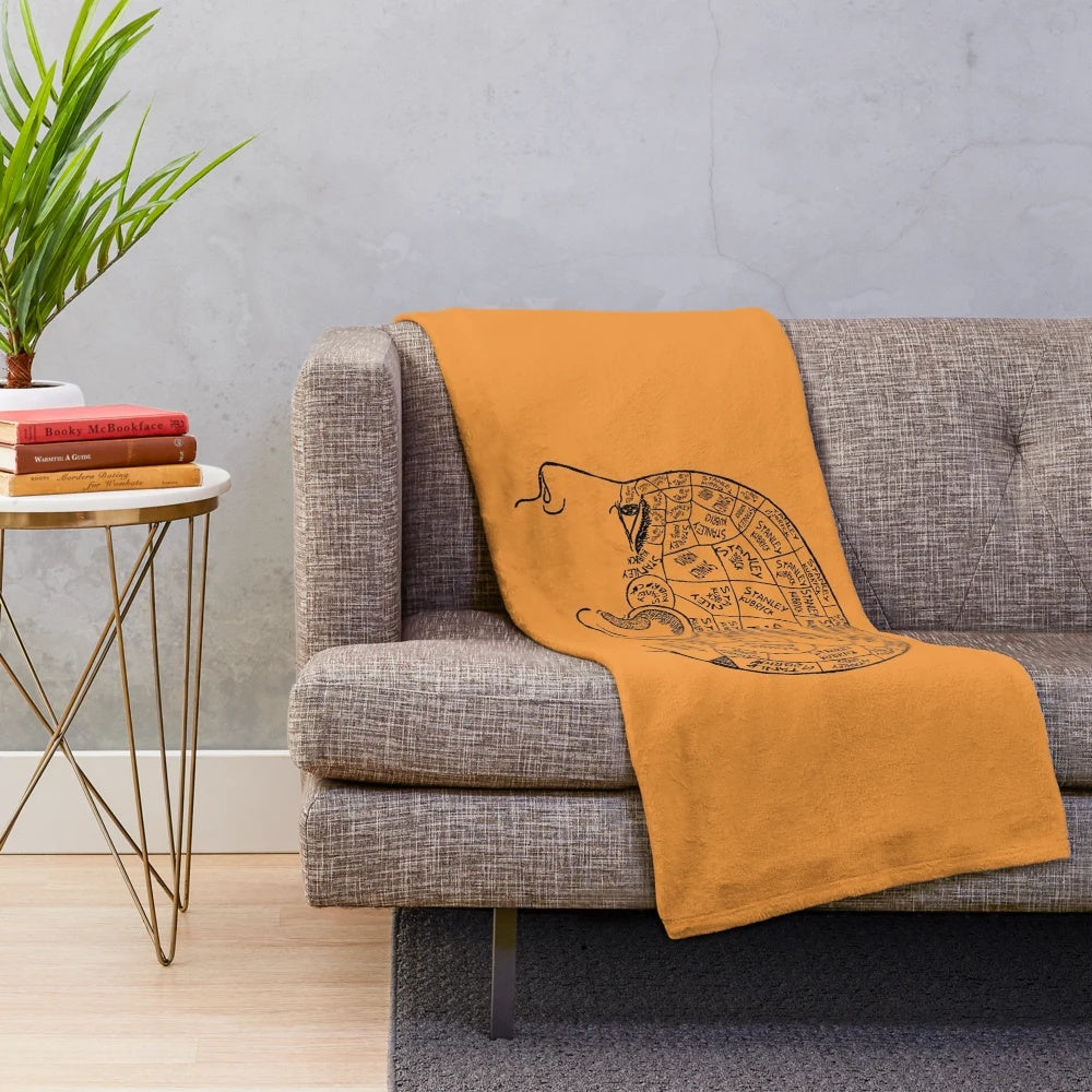 Stanley Kubrick-inspired plush blanket for cinema lovers