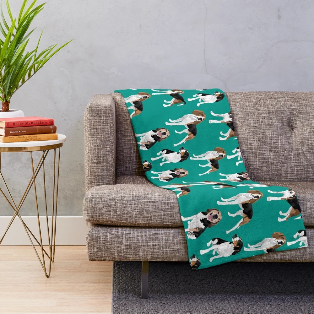 Treeing Walker Coonhound on a teal plush blanket