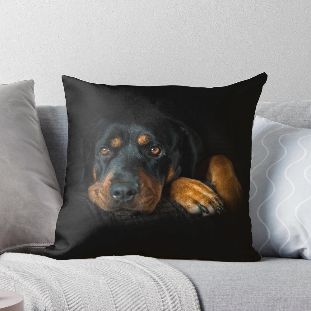Rottweiler dog relaxing on a comfortable pillow