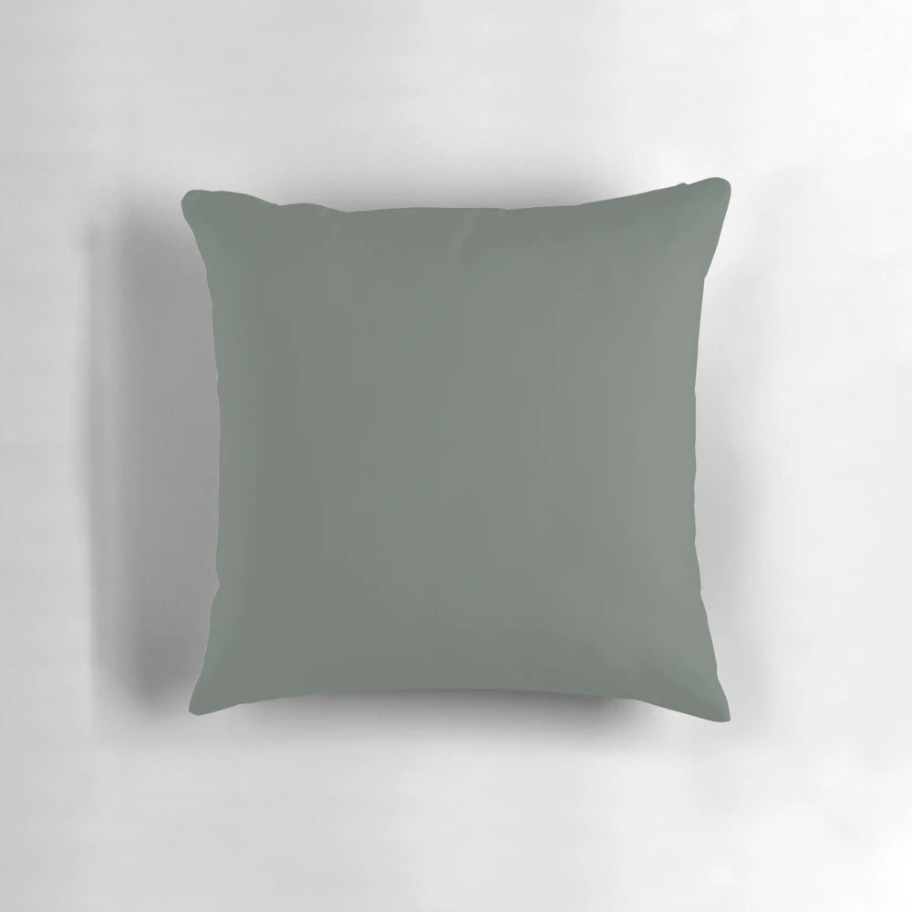 Smoke green decorative pillow made with Farrow & Ball's popular new paint color.