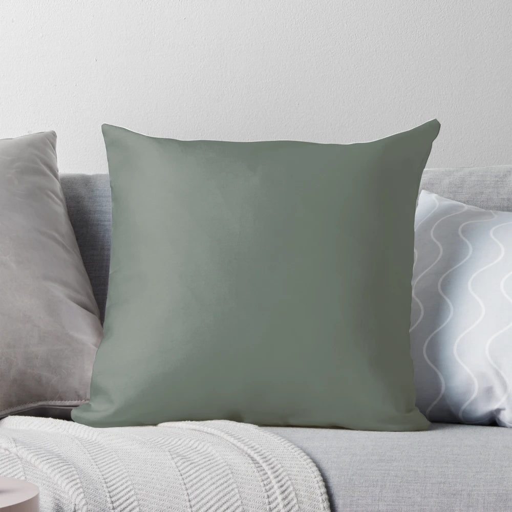 Smoke green decorative pillow made with Farrow & Ball's popular new paint color.