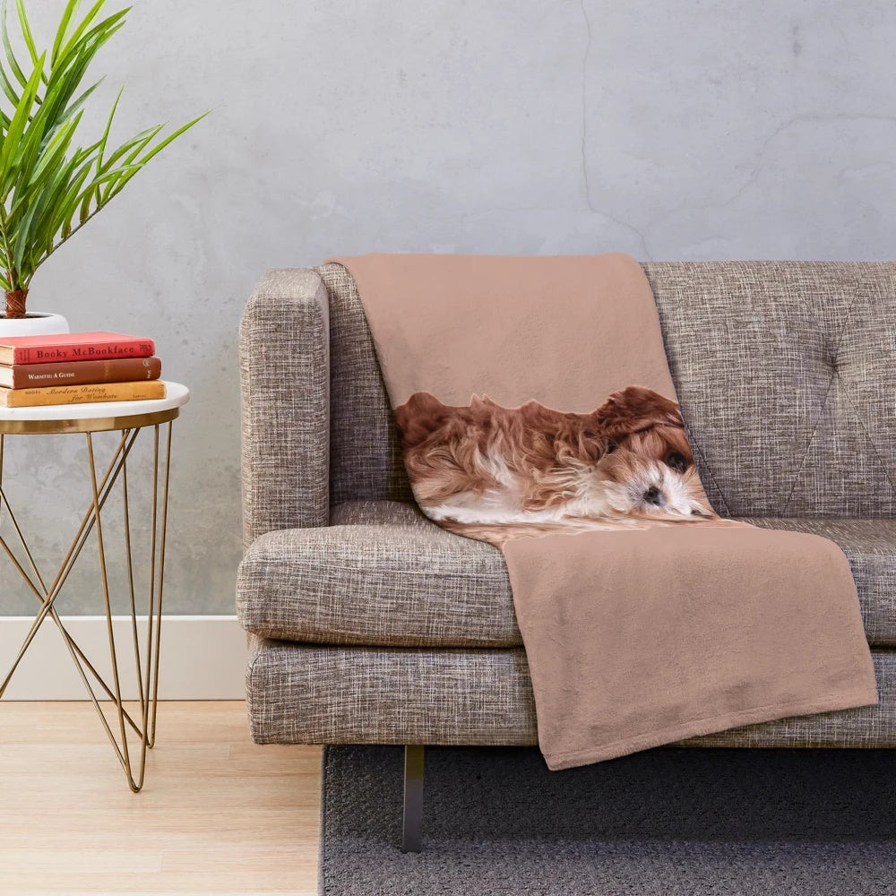 Cavapoo plush blanket, soft and comfortable pet bedding