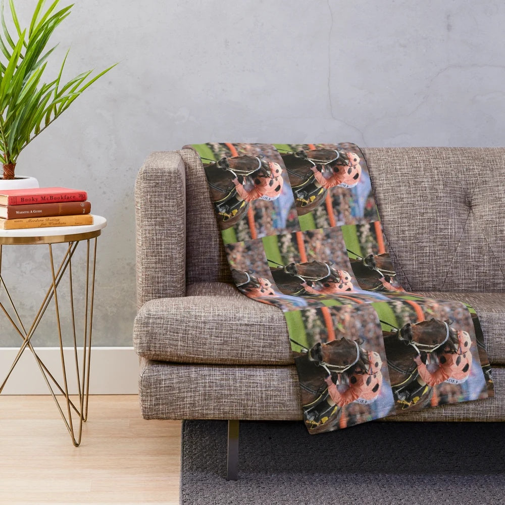 Plush blanket depicting legendary Australian racehorse Black Caviar
