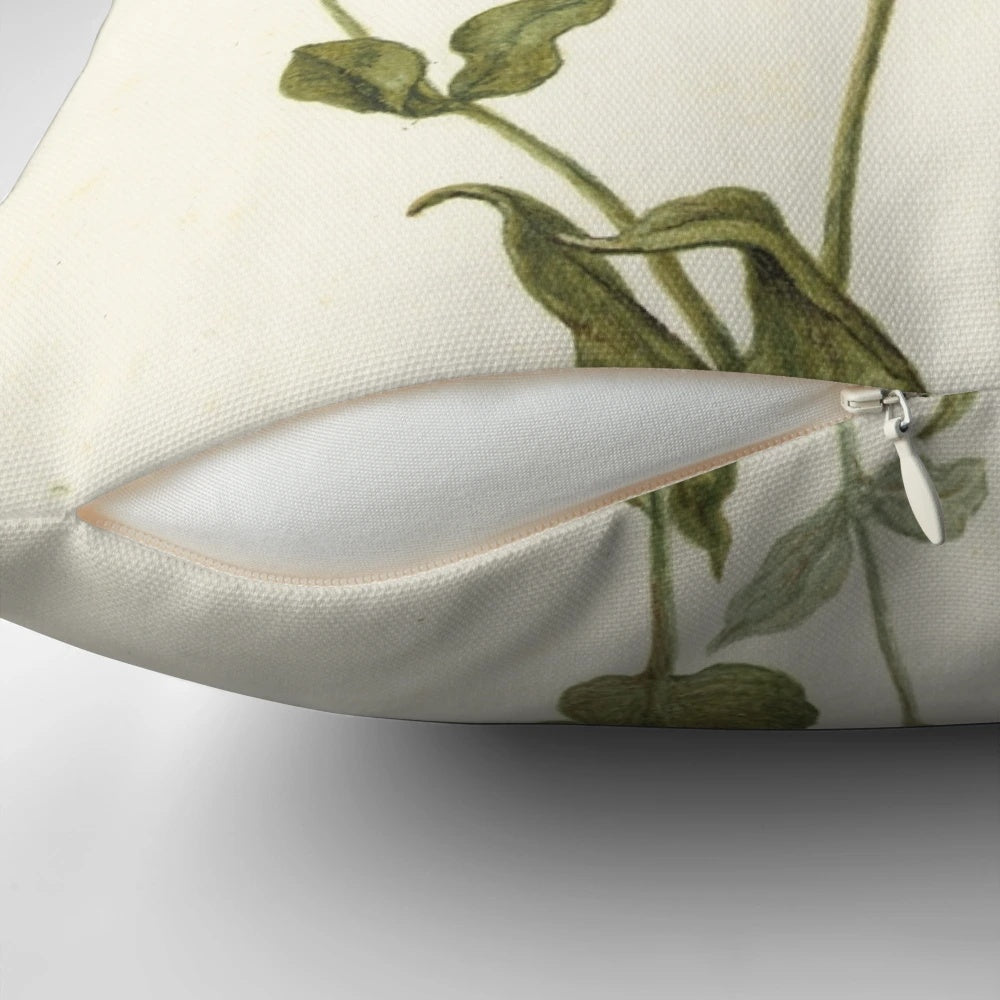 Vintage Botanical Print Pillow for Home Decor