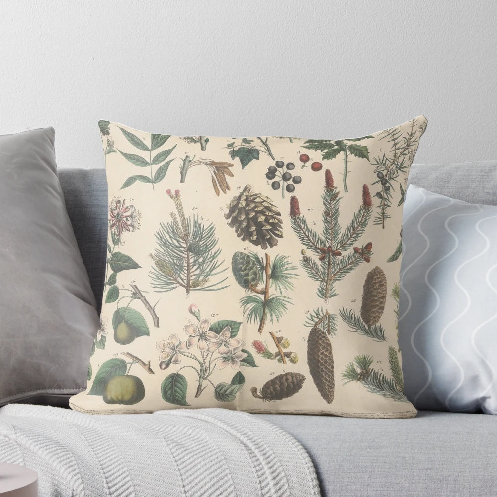 Vintage botanical illustration printed on a decorative throw pillow