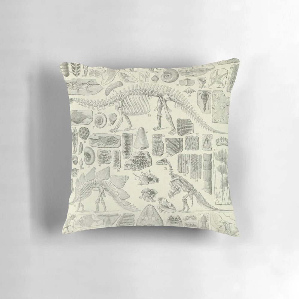 Vintage fossil chart pillow featuring an antique dinosaur and prehistoric biology illustration