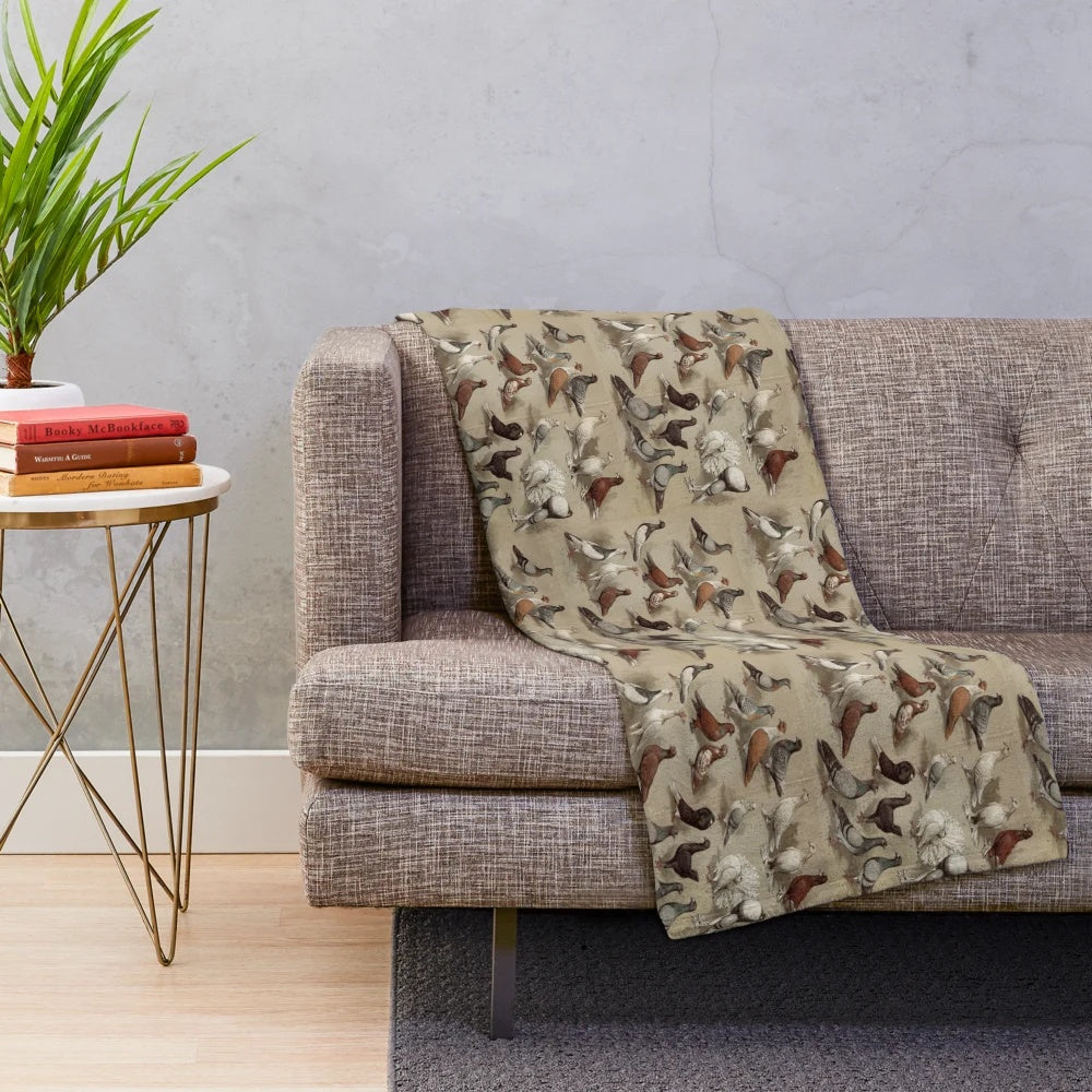 Vintage-style illustration of different pigeon breeds on a plush blanket